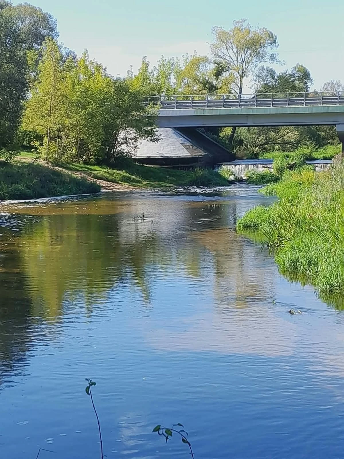 Widok rzeki i mostu z brzegu