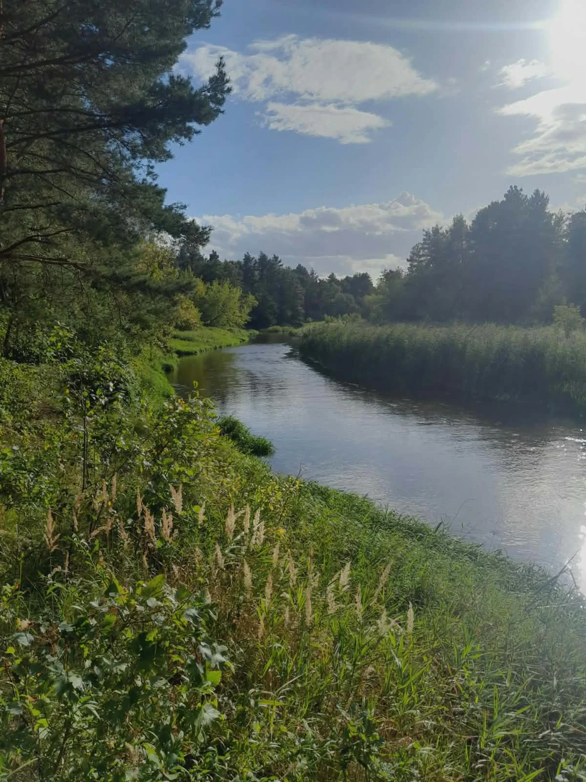 Radomka w popołudniowym świetle