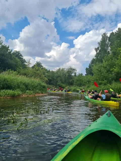 Grupa kajakarzy na Radomce