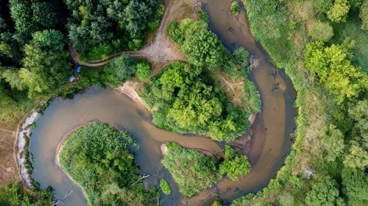 Zakole Radomki otoczone zielenią, widziane pionowo z góry